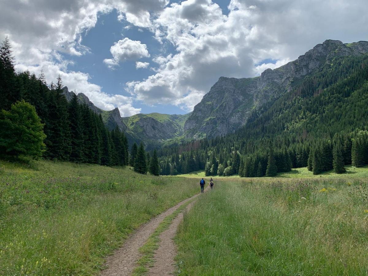 Dom Wypoczynkowy I Apartamenty "Nabucco" Z Widokiem Na Giewont I Gory ซาโกปาเน ภายนอก รูปภาพ