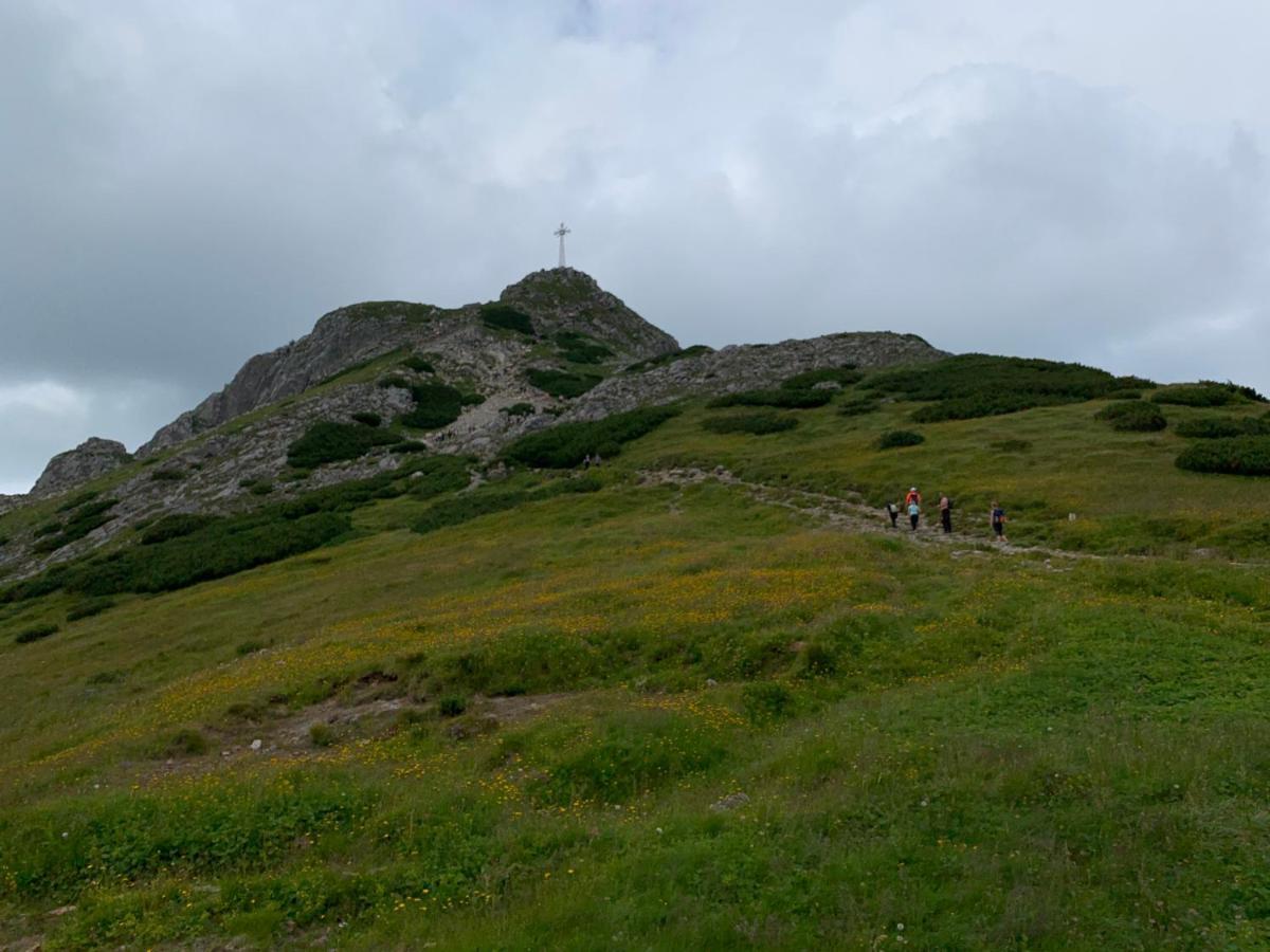 Dom Wypoczynkowy I Apartamenty "Nabucco" Z Widokiem Na Giewont I Gory ซาโกปาเน ภายนอก รูปภาพ