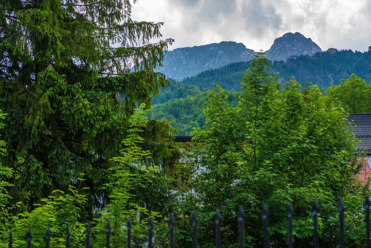 Dom Wypoczynkowy I Apartamenty "Nabucco" Z Widokiem Na Giewont I Gory ซาโกปาเน ภายนอก รูปภาพ